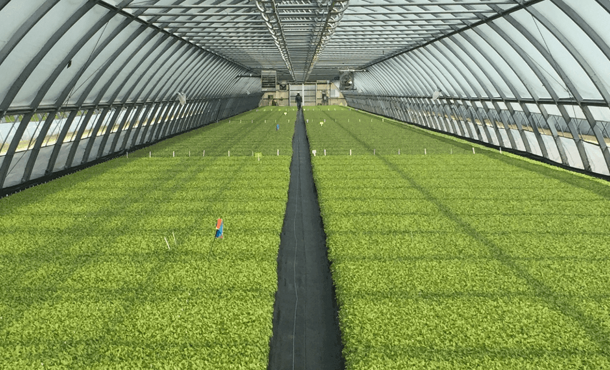 Kietzer Farms, Inc.