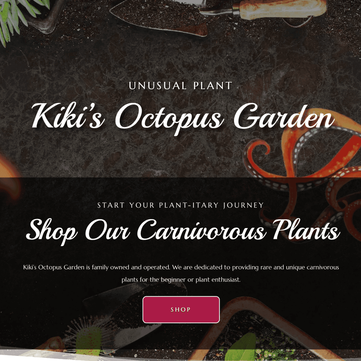 Kiki's Octopus Garden