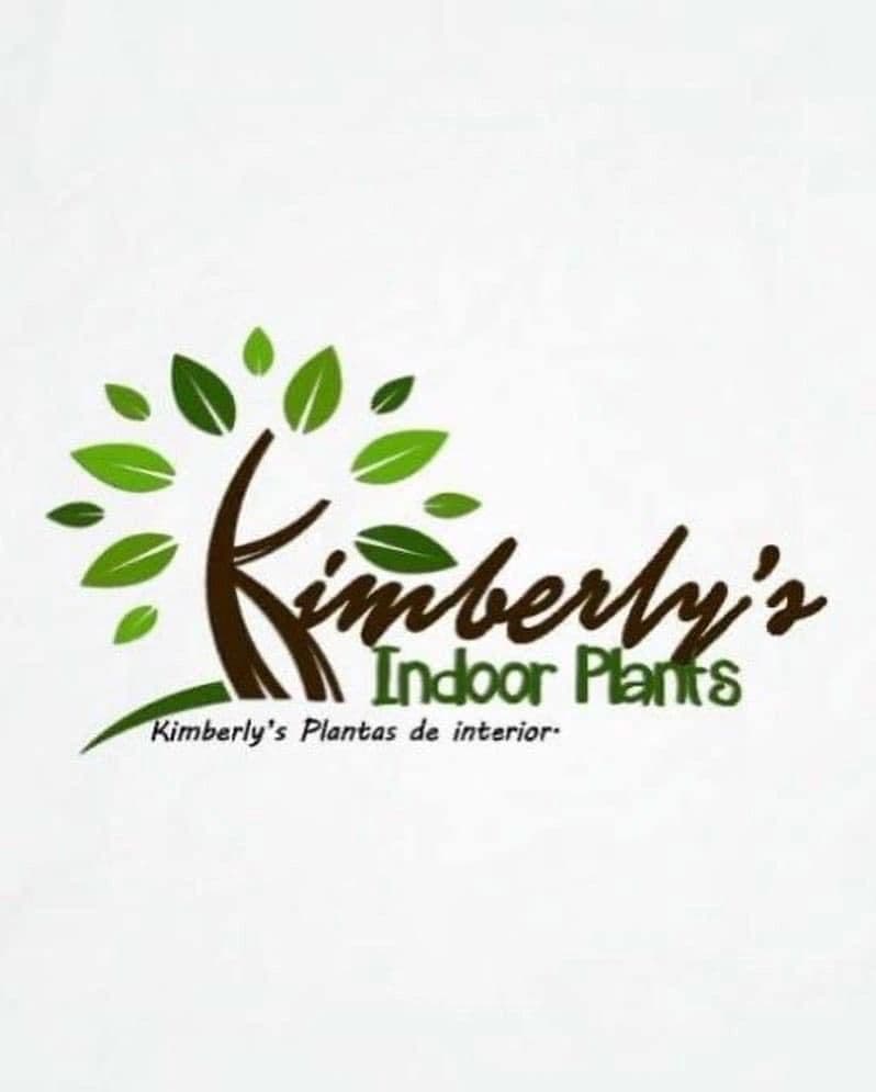 Kimberly's Indoor Plants