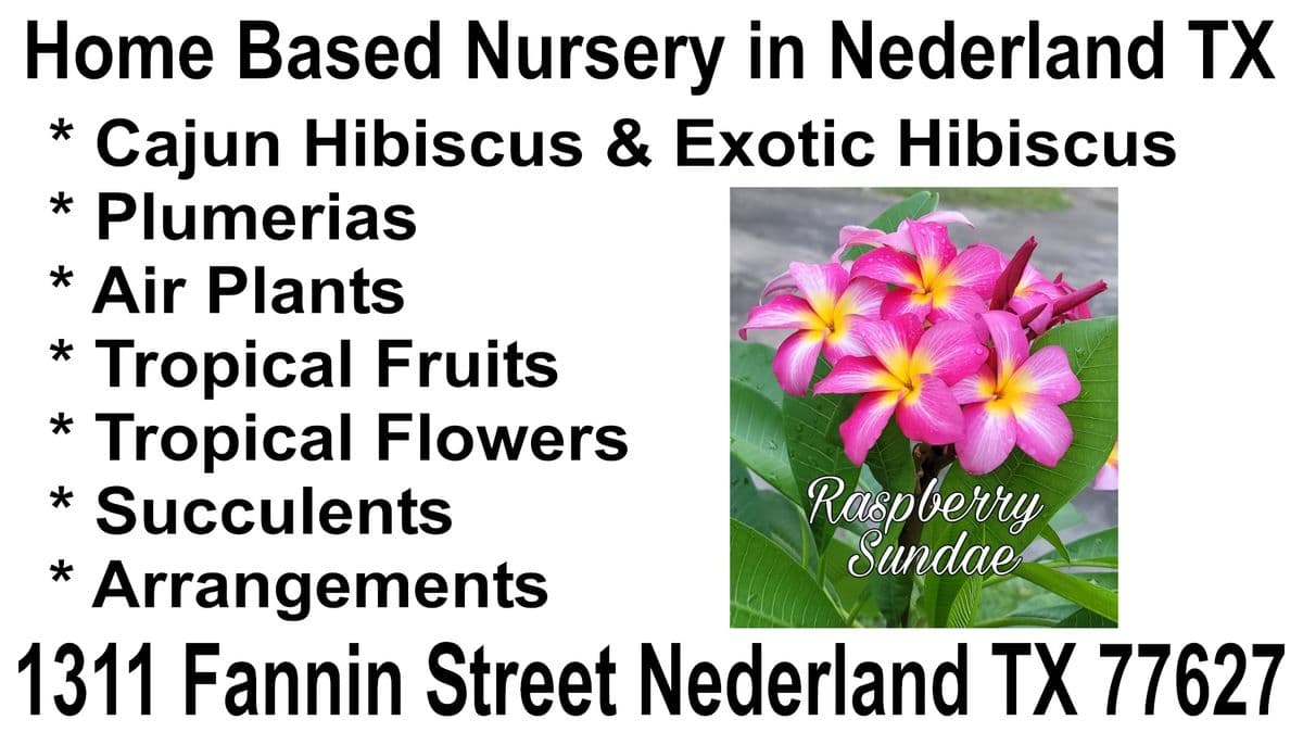 Kimmy's Phantastic Gifts & Nursery