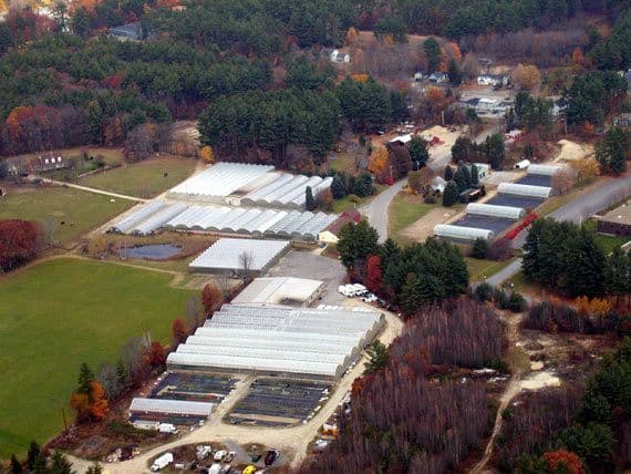 King Farm Inc