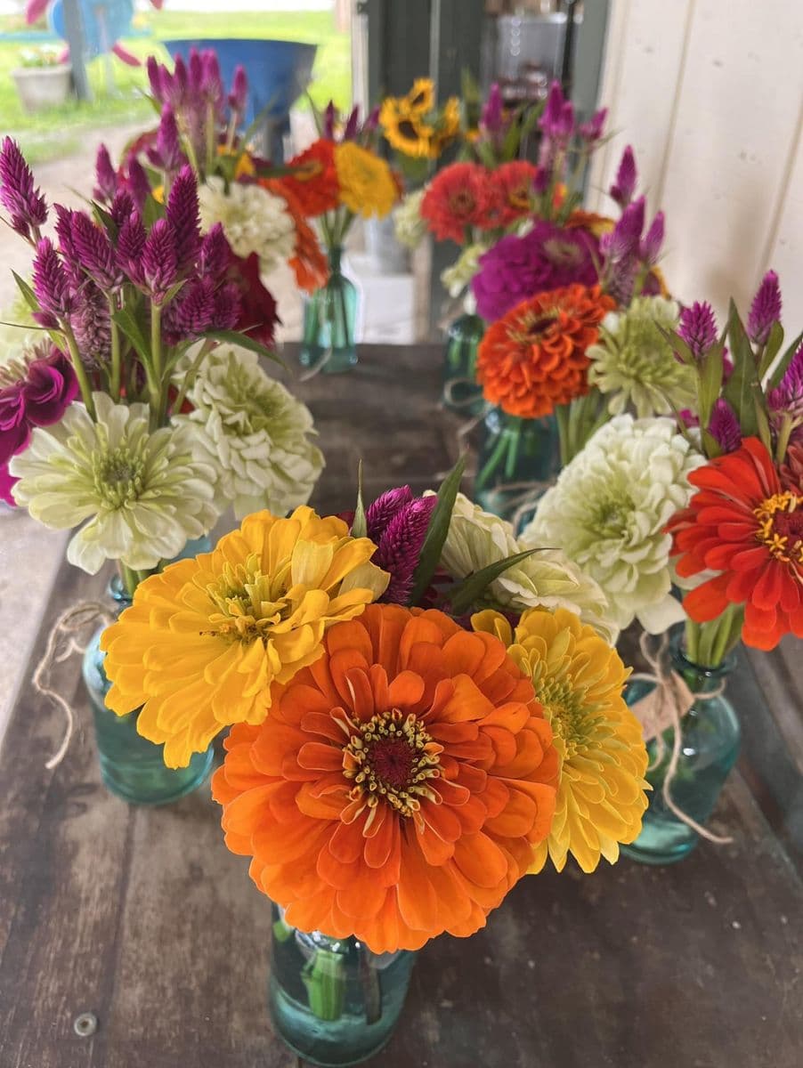 King's Farm Market