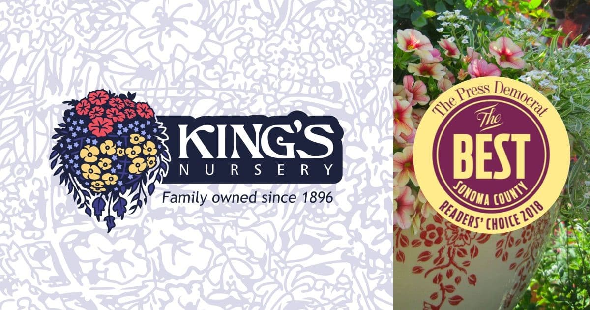 King's Nursery