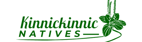 Kinnickinnic Natives