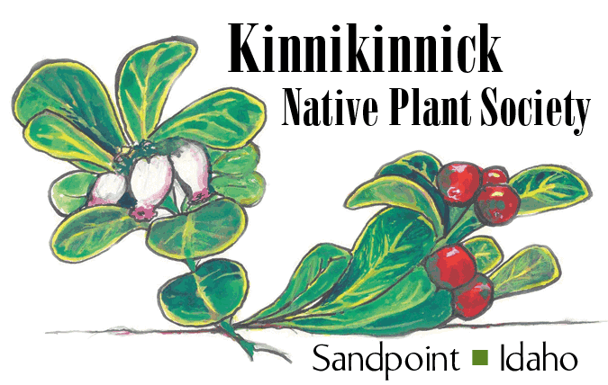 Kinnikinnick Native Plant Society