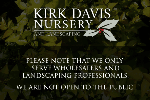Kirk Davis Nursery