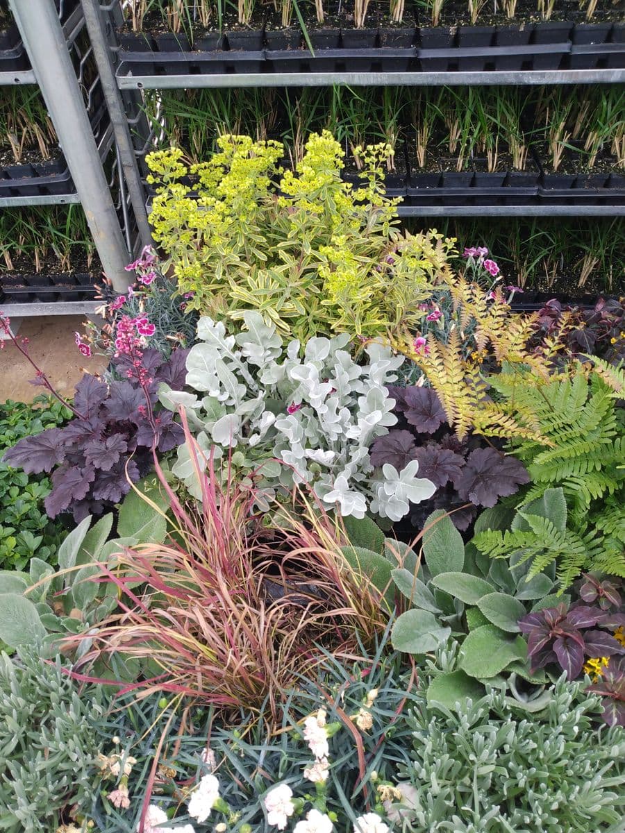 KJJR Garden Center