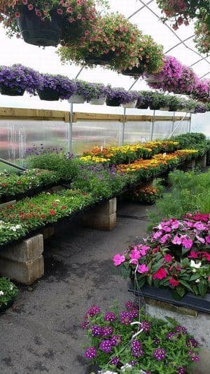 Klein’s Farm And Garden Market