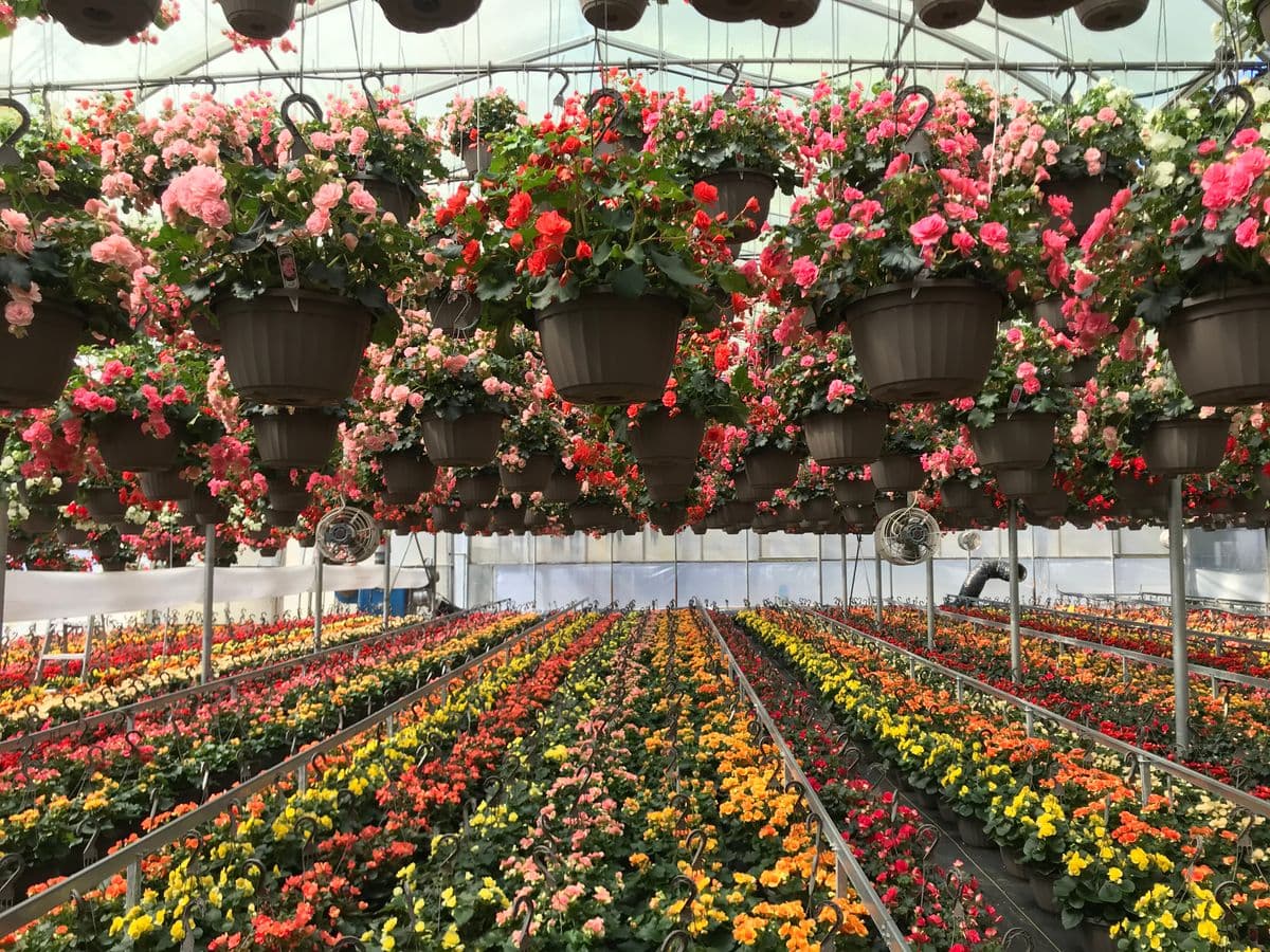 Klem's Greenhouse