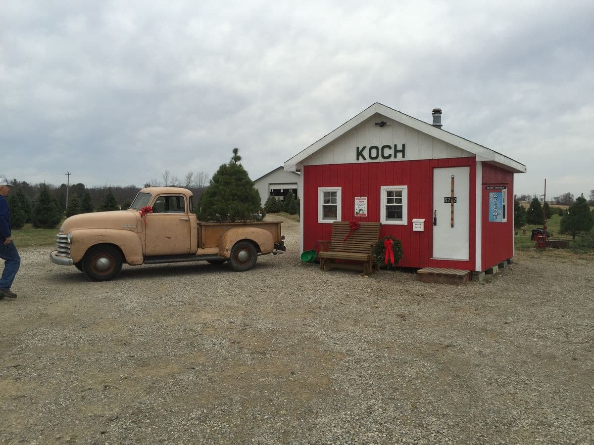 Koch Christmas Trees