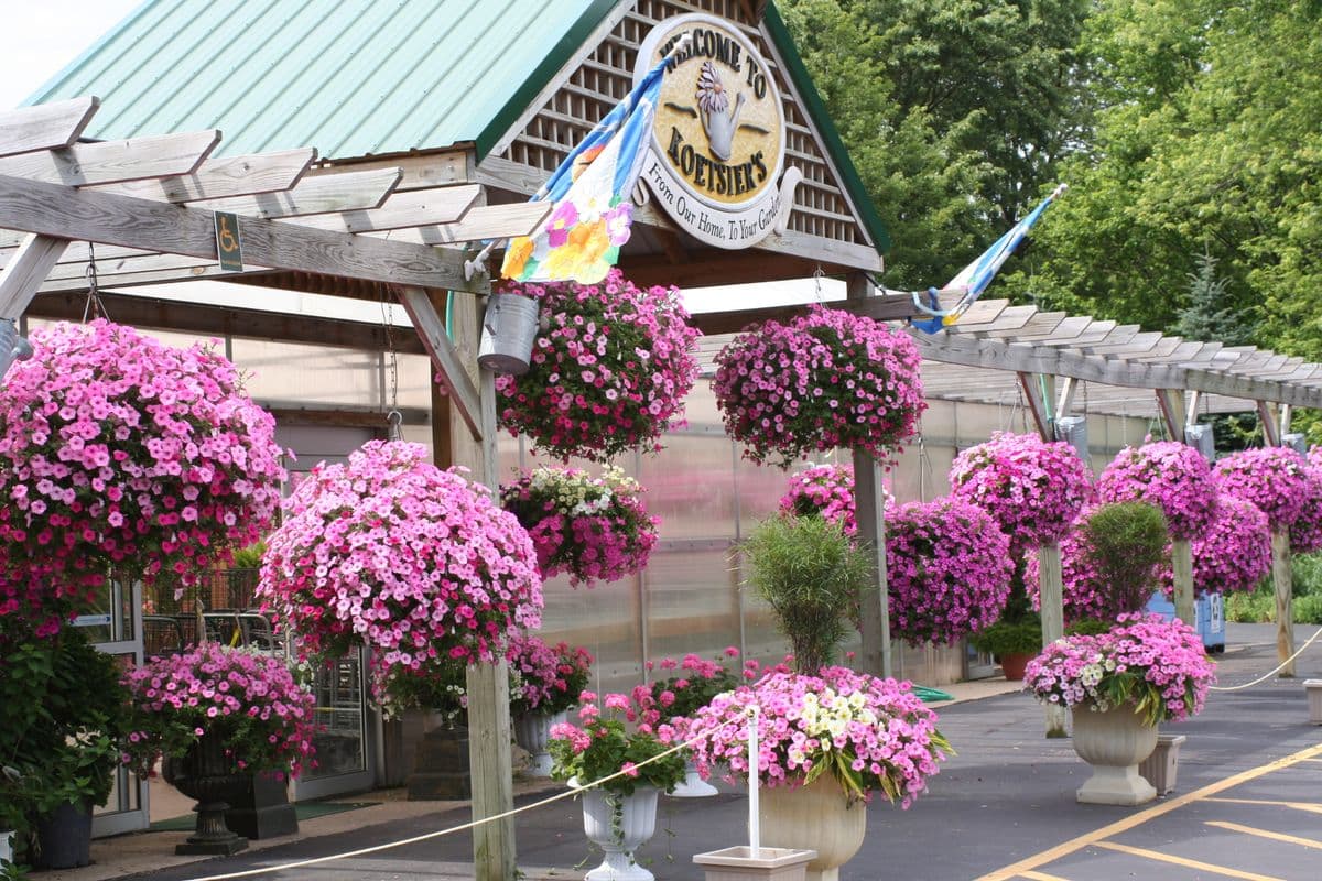 Koetsier's Greenhouse