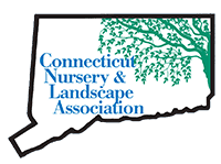 Kogut Nursery LLC