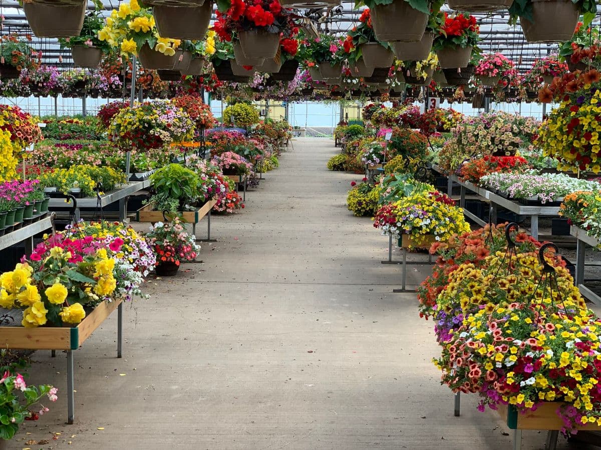 Kolze's Corner Gardens
