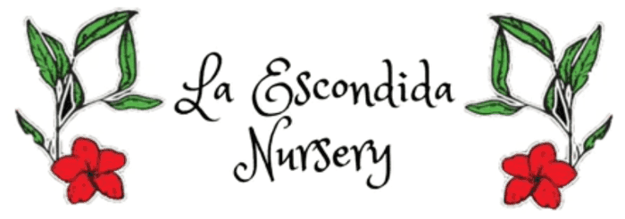 LA ESCONDIDA NURSERY INC