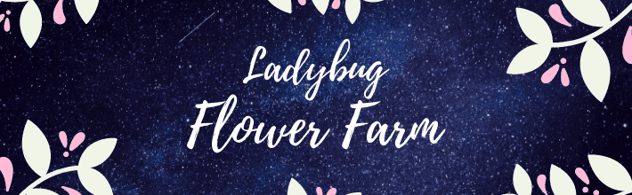 Ladybug Flower Farm