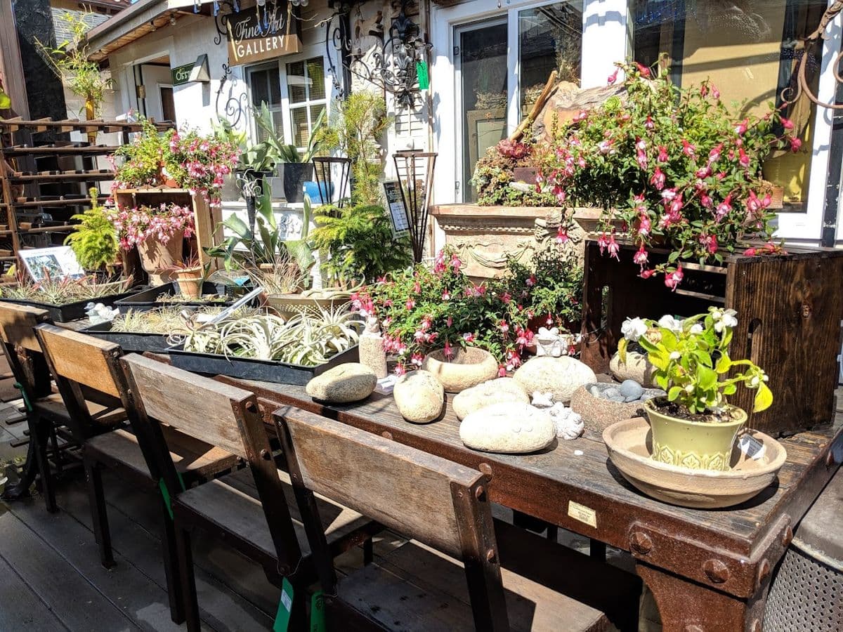 Laguna Nursery