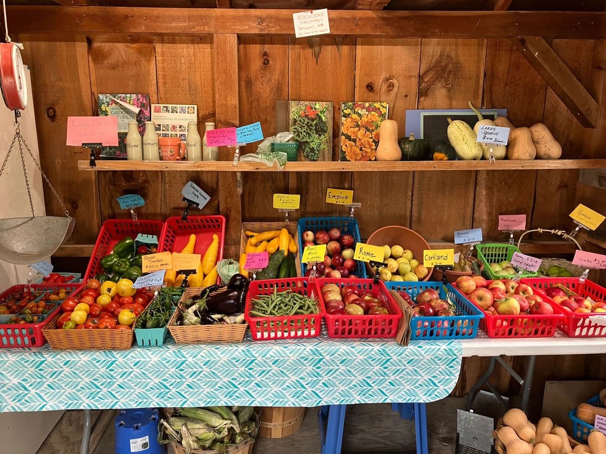 Lake Farm Gardens