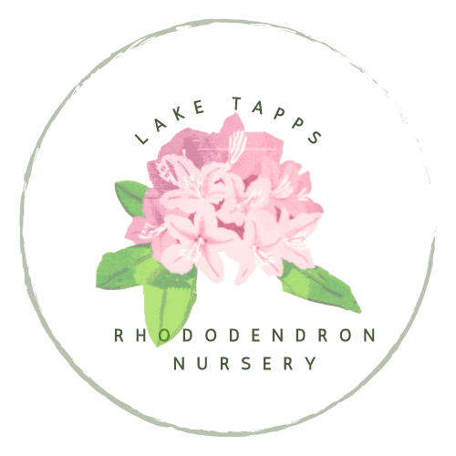 Lake Tapps Rhododendron Nursery