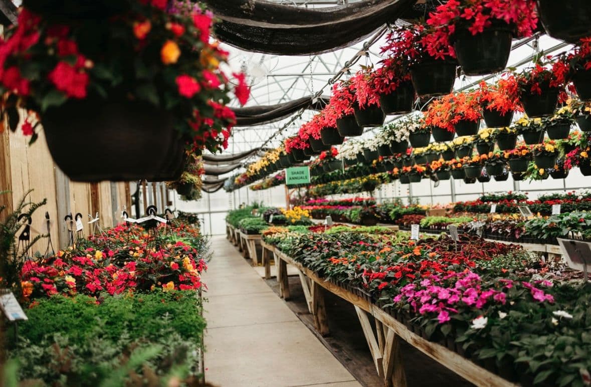 Lakeside Garden Center