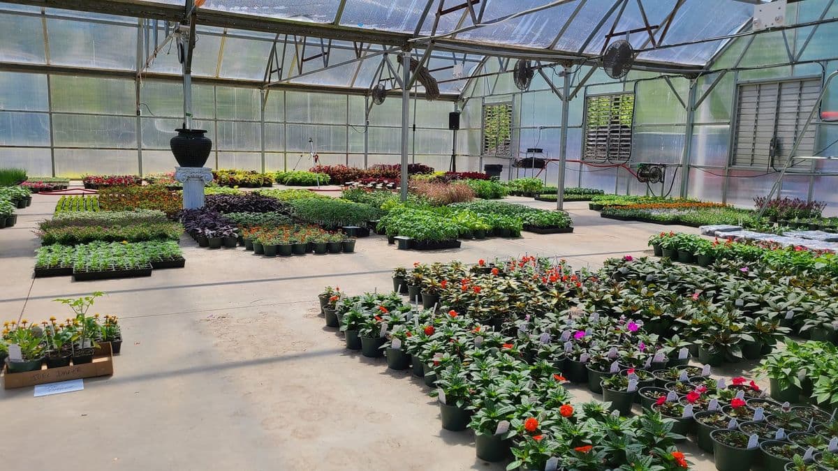 Lakeside Greenhouse