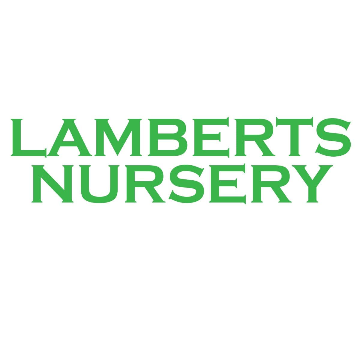 Lamberts Nursery