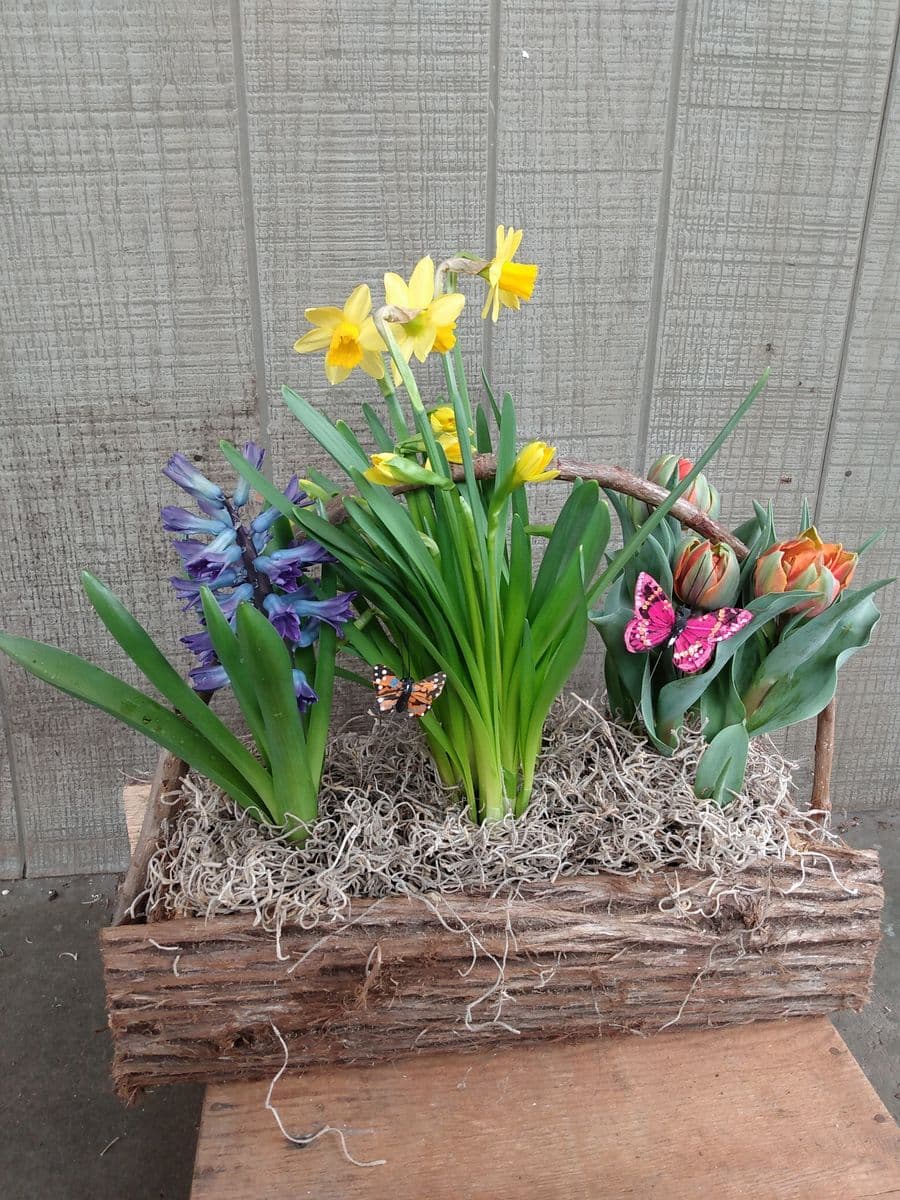 Lancaster Gardens Inc