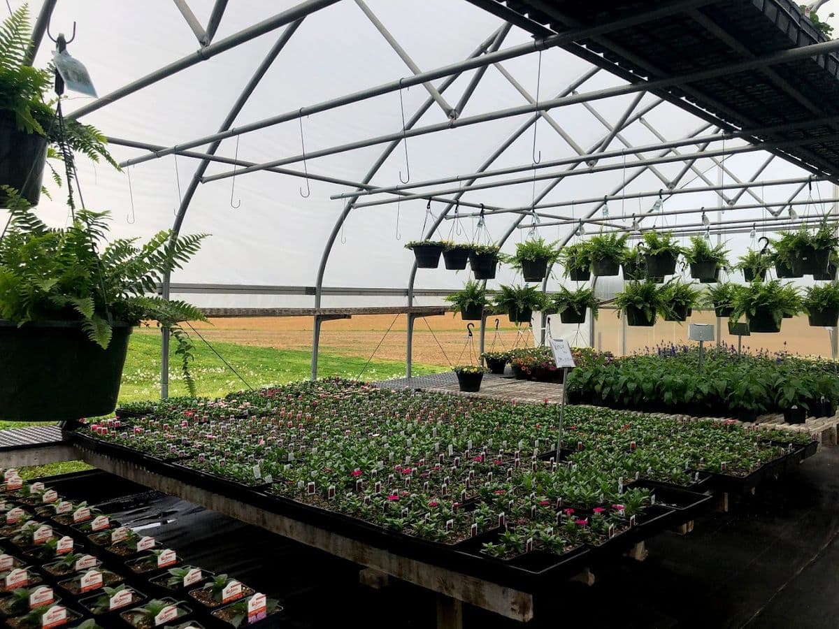 Landisville Greenhouse