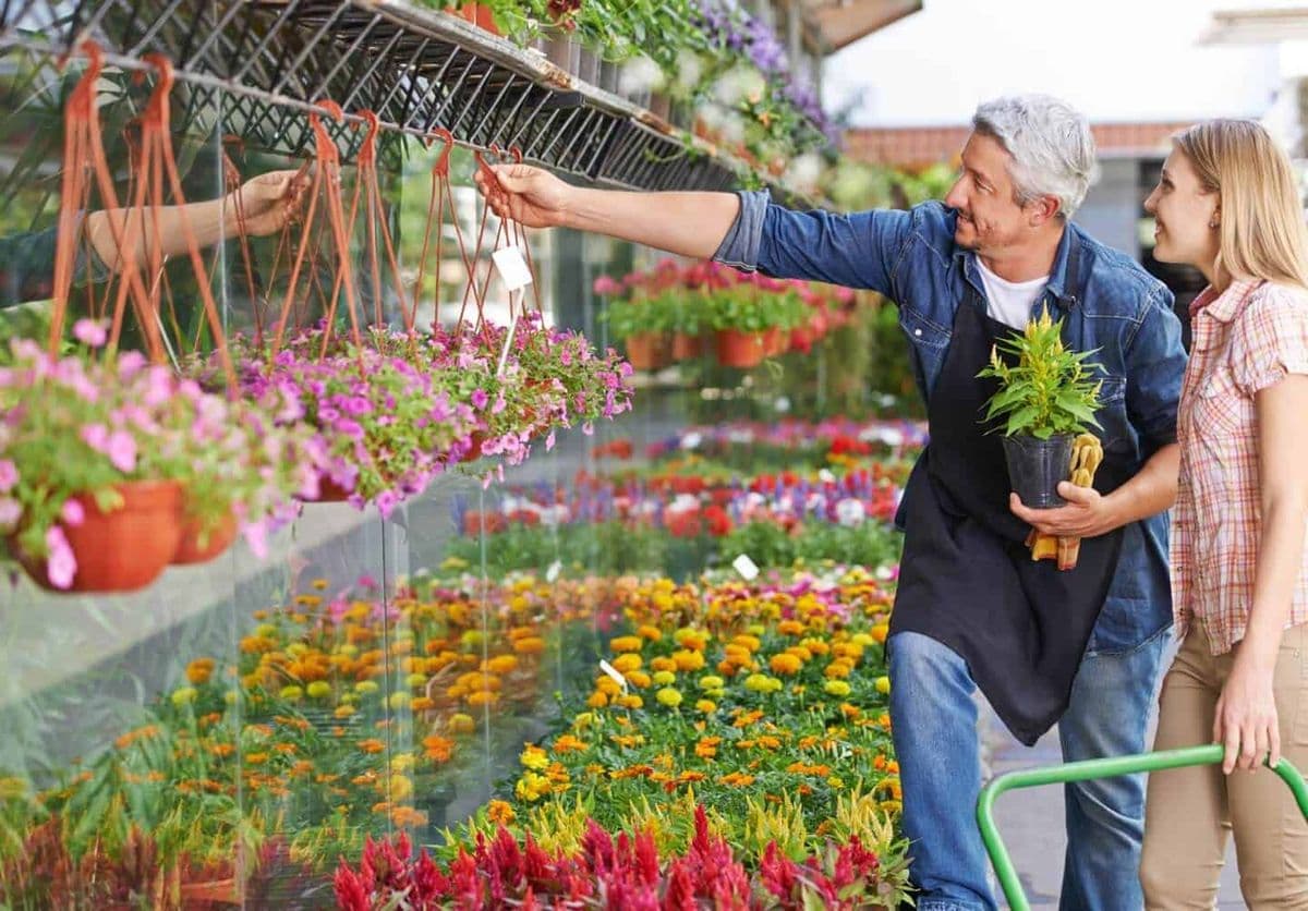Landscape Management Services, Inc.