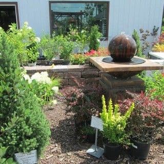 Landscape Techniques LLC and LT Pets and Supplies