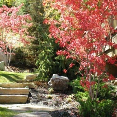 Landscape Technology Group