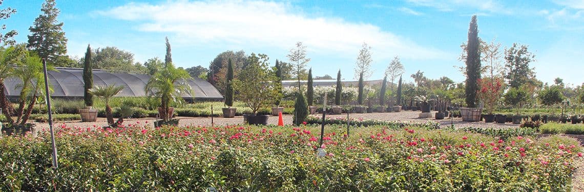 Landscaper's Wholesale Market