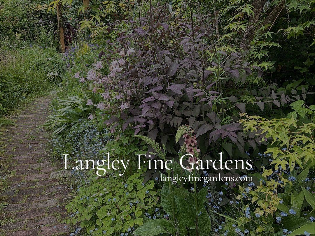 Langley Fine Gardens