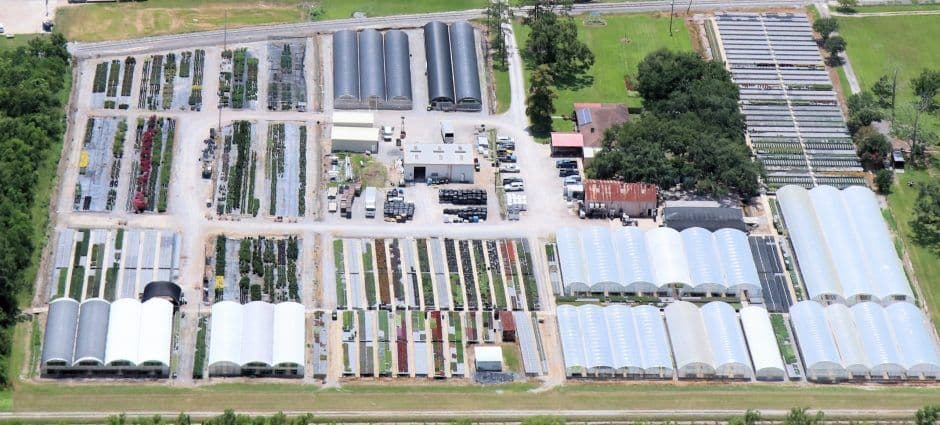 Langridge Plant Sales, Inc.