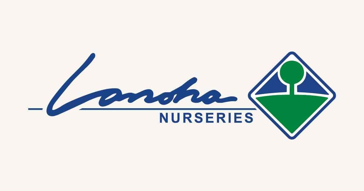 Lanoha Nurseries