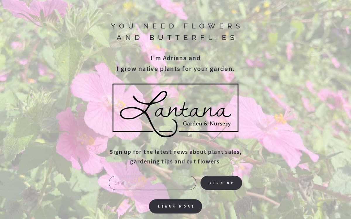 Lantana Garden and Nursery