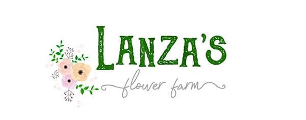 Lanza's
