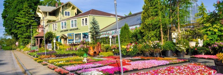 Larchmont Nurseries