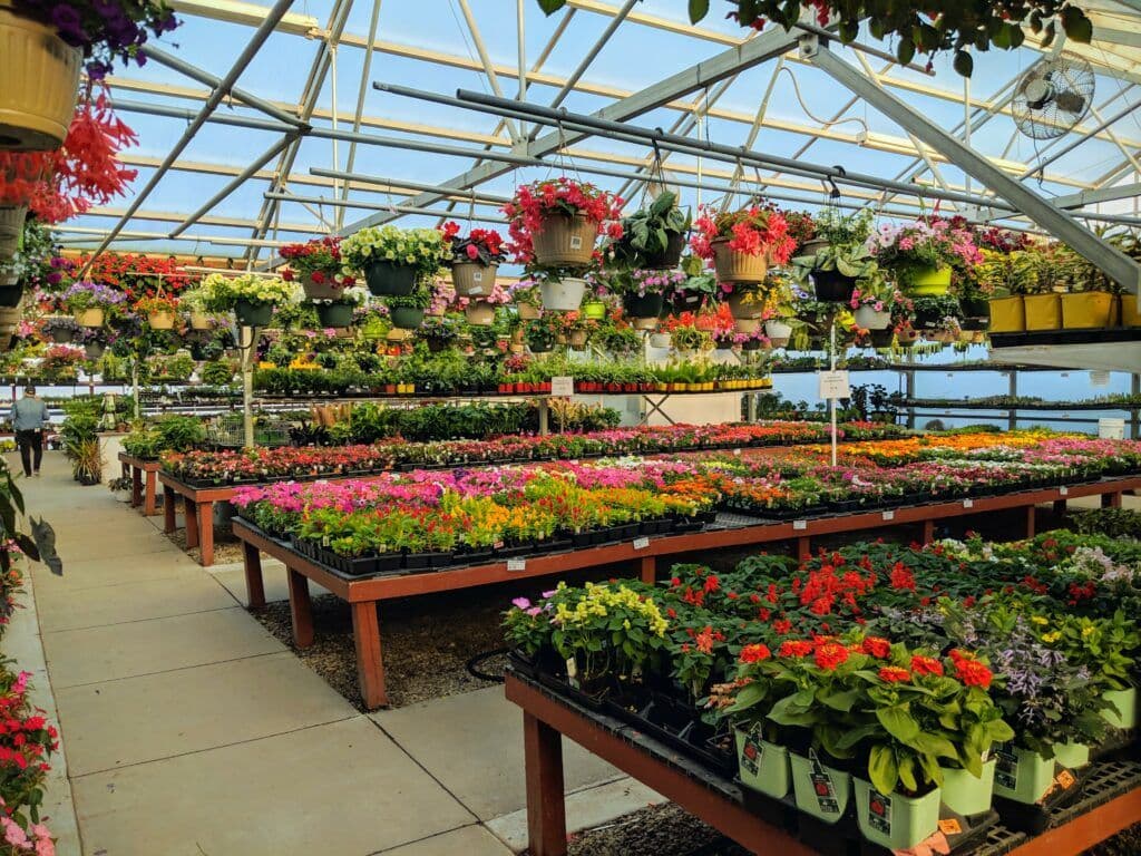 Larry's Nursery