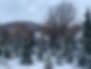 Larson Holiday Farm