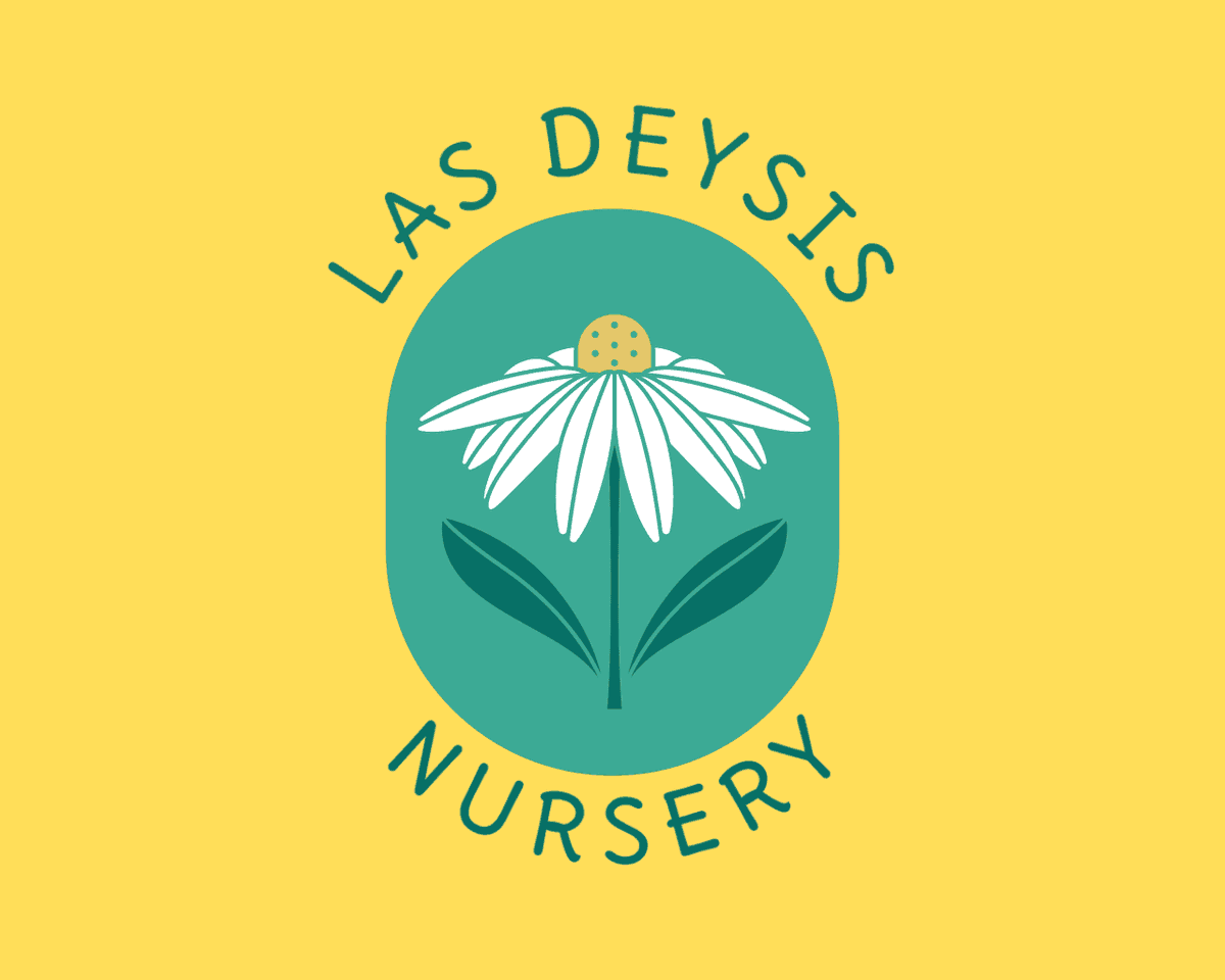 Las Deysis