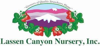 Lassen Canyon Nursery, Inc.