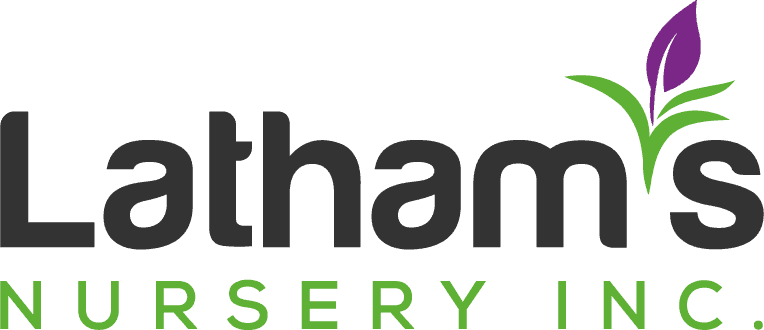 Latham's Nursery