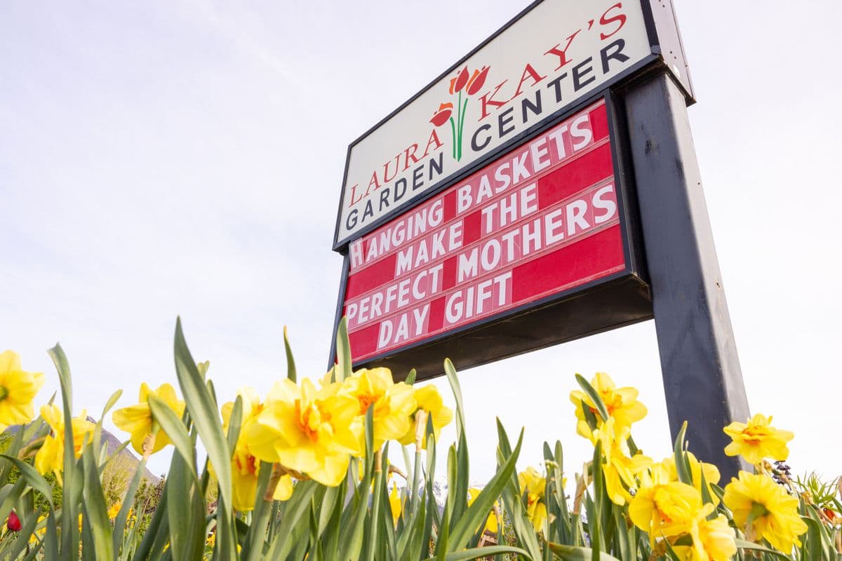 Laura Kay’s Garden Center