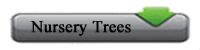 Lauras lane nursery