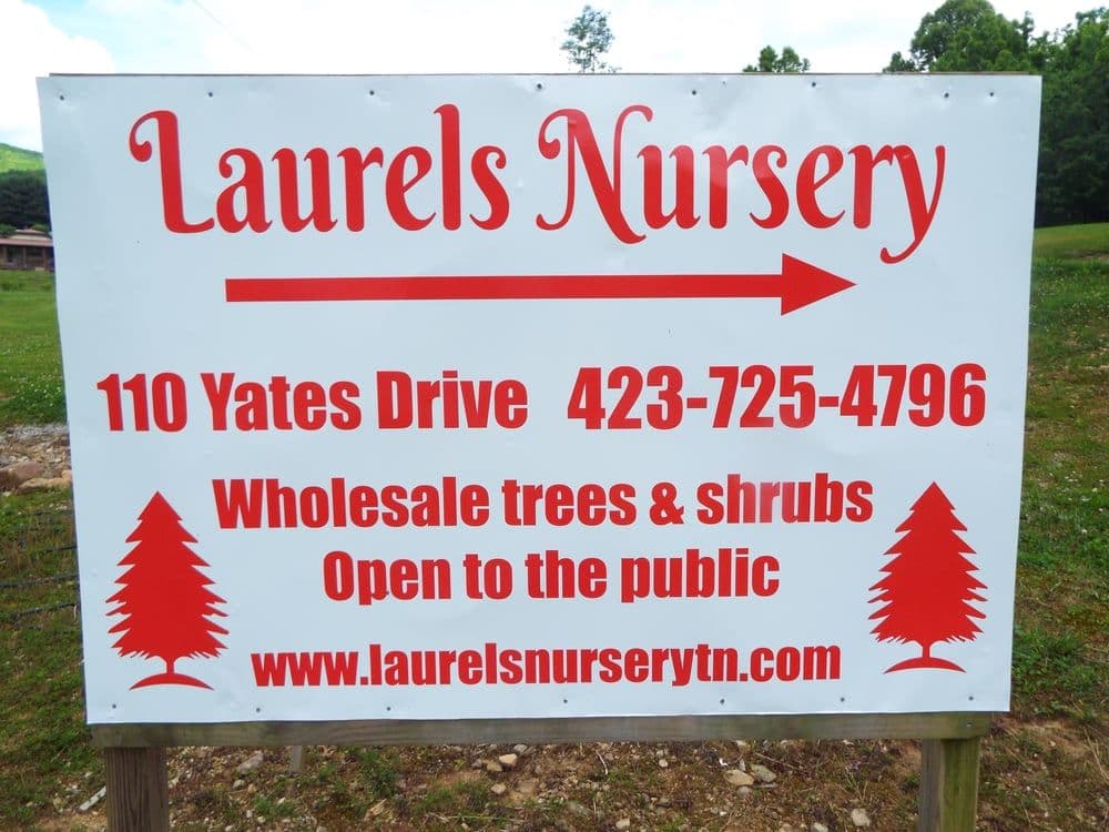 Laurel's Nursery