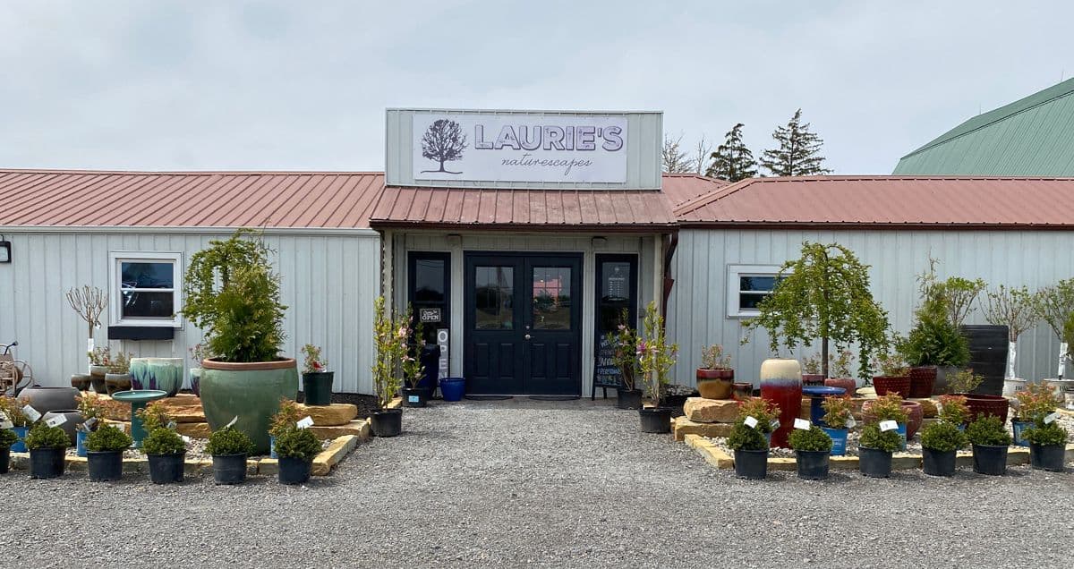 Laurie's Naturescapes