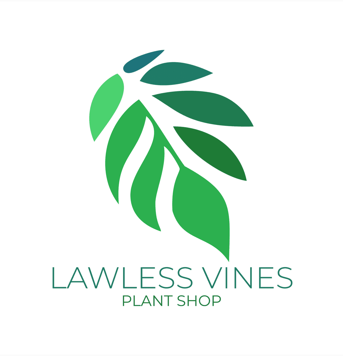 Lawless Vines