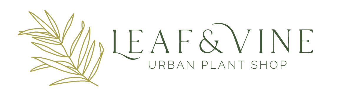 Leaf and Vine, Urban Plant Shop