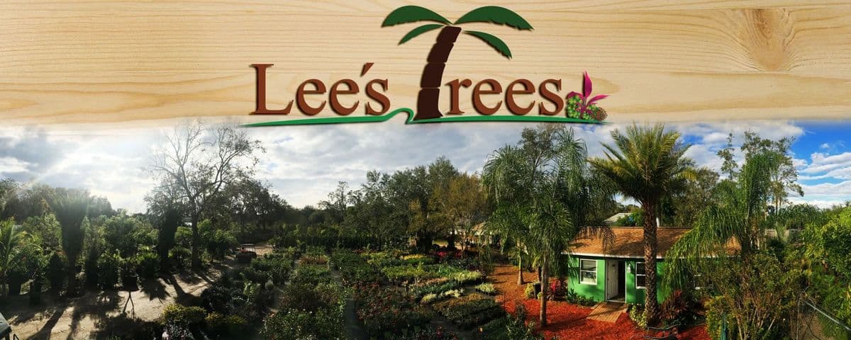 Lee's Tree & Landscaping Nursery