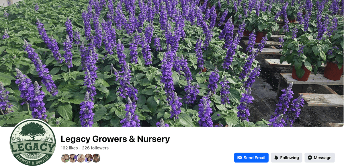 Legacy Growers & Nursery